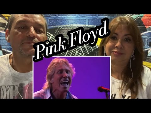 Pink Floyd - Comfortably Numb ( Recorded At Live 8) Reaction
