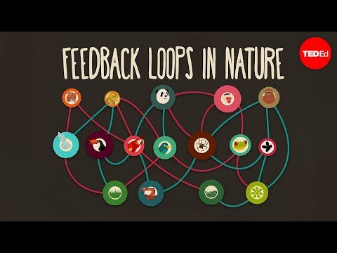 how to provide negative feedback in a positive way examples