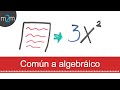 Traducción de lenguaje verbal a lenguaje algebraico - HD