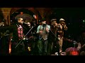 mala fe - pluma gay