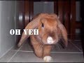 Nani Movie I - Pulp Fiction Sound