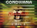 POLUCION - GONDWANA