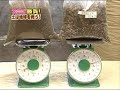 Lightest Green Roof and green building in japan Lightest Green Roof and green building in japan