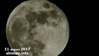 11 февраля Шимановск, Полнолуние видеофакт