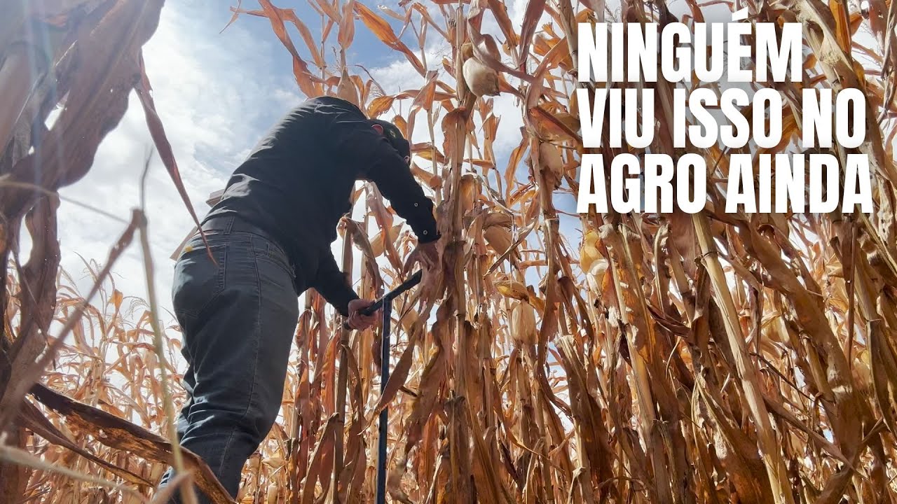 SURPREENDENTE - AS RAÍZES NÃO MENTEM