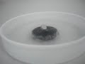Meissner Effect 1