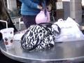 videos de Hahahahaha Ballon party xD