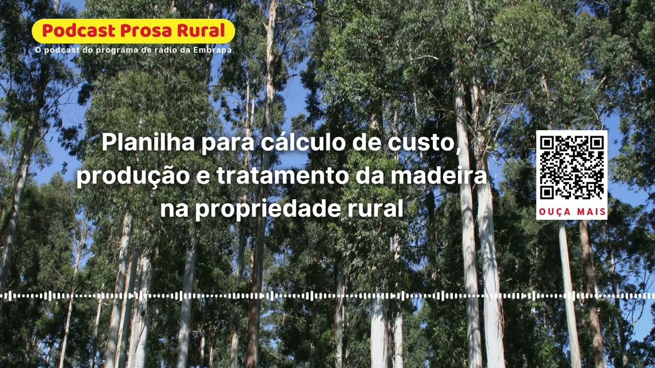 Planilha para cálculo de custo, produção e tratamento da madeira na propriedade rural