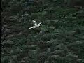 S67 BlackHawk Wings Gunship Recon Team Insertion dynmicpara
