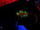Artkromatik adaep Grenoble 16 juin 2007 chill out deco
