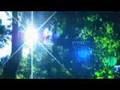 Muir Woods JVC HD7