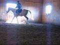 videos de Jess playing polo.wmv