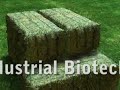 Biofuels
