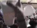 Fluzão Campeão Copa do Brasil 2007, gol narrado por Penido!