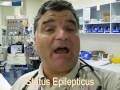Status Epilepticus