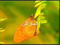 Madhosh ?????