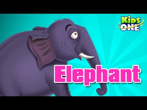 hindi animated rhymes, high quality kids, songs, age upto 5, learning, kidsone, cartoon, moon, kites, gudia, koyal, quality, culture, childrens, nursery primary teaching, cat, machili, telephone, toys, maya, poem, bunder, monkey, flowers, horse, fish, crow