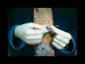 Video Performance For Mini Electric Guitar Video Performance For Mini Electric Guitar