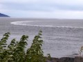 Turnagain Arm Bore Tide Turnagain Arm Bore Tide