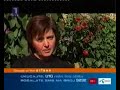 48h svadba-samaranje 48h svadba-samaranje