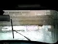 Wash-MINI-Cooper