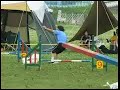 Papillon 20070701 Agility
