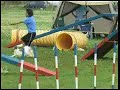 Papillon 20070701 Agility