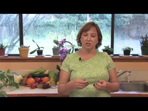 video-linktoworks-Garden & Lawn Maintenance : How to Apply Lime to a Lawn