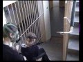 Film na gielde szkol
