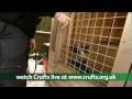 Friends for Life 2009 - Neil & Anya