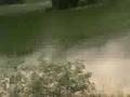 63 RALLY POLAND CLIP