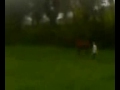 Ket in the Kountry 1