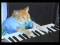 playhimoffkeyboardcat.com