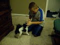 dog bites boy in the nose