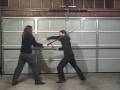 videos de Codex Wallerstein Longsword Section