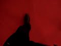 camminando tappeto rosso