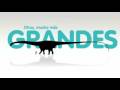 Ver Video
