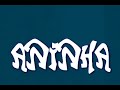 Cirque du Soleil -  Aninha