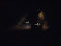 Zoobombing in the dark