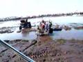 Small-buggy-parking-