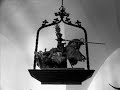 I always adored the middle ages, the castles and the ruins. This is only a short selection with some medieval music.