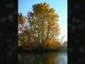 Autumn in Yakima 2007
