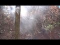 diesel buggy on violater at choccolocco mountain