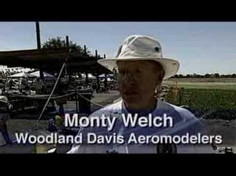 Model Airplanes Fly In Woodland