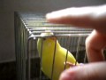 Video 3