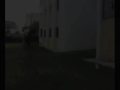capoeira parkour freerunning flip trickz tanger morocco