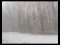 Lake effect snow Syracuse, NY 11/21/08