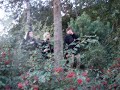 100_9931.MOV