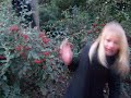 100_9931.MOV