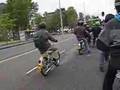 Puch & Tomos, Bloembollenritje Leiden-Haarlem 2007 part 3